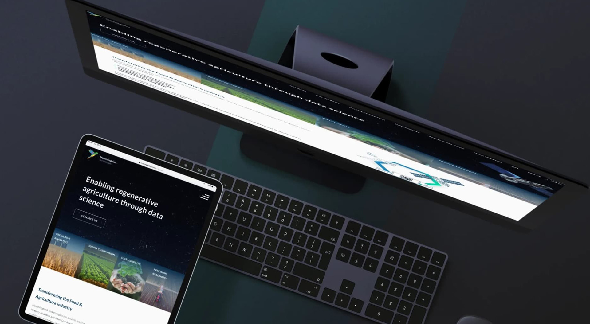 web-design-coverv2